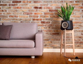 气温下不来,人都晒蔫了,用好花器种花草可能感觉会凉快点