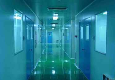 无尘车间 hgr wcs