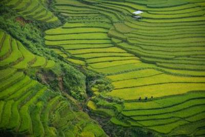 怎么样!男性吃辅酶q10武汉助孕
